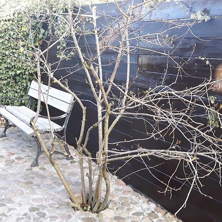 Apartmán Zacisze Kalwy Exteriér fotografie