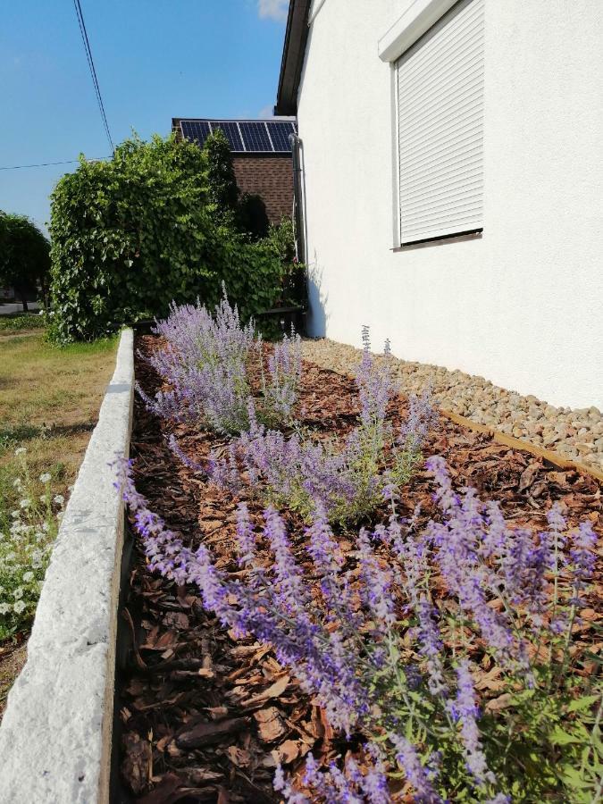 Apartmán Zacisze Kalwy Exteriér fotografie